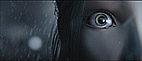 Screen Image 1