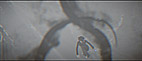 Screen 6